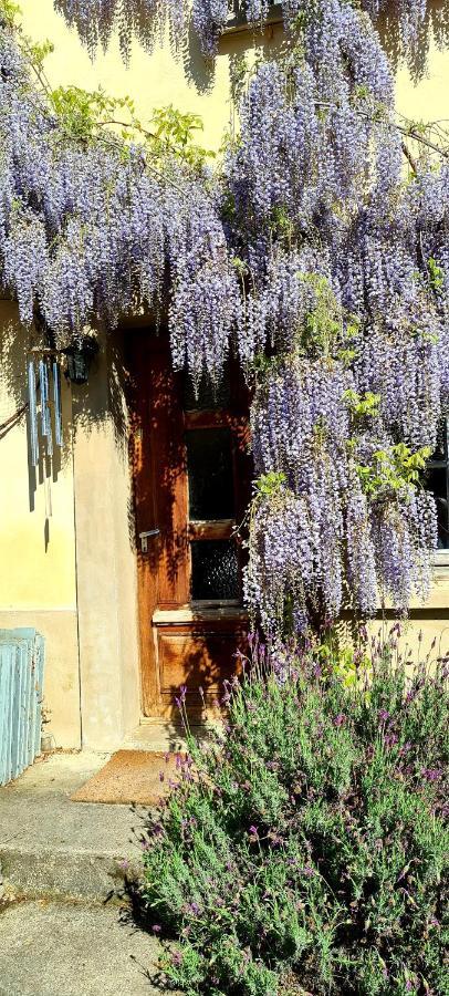 La Maison Des Tisserandes Montségur Eksteriør bilde